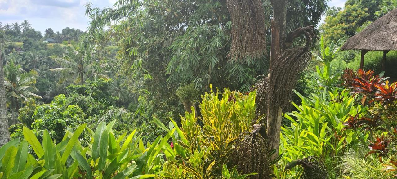 أوبود Rumah Sungai Villa المظهر الخارجي الصورة
