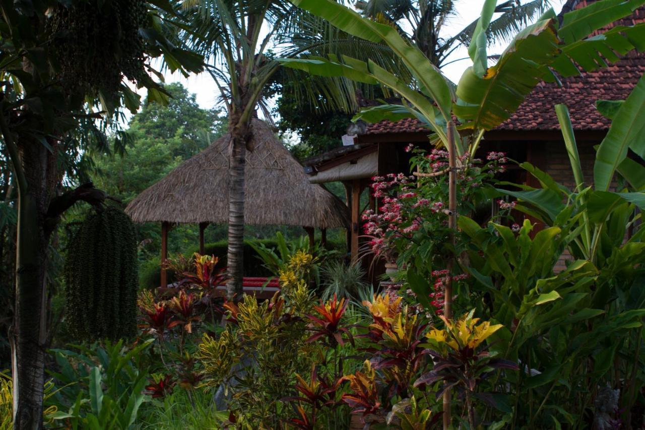 أوبود Rumah Sungai Villa المظهر الخارجي الصورة