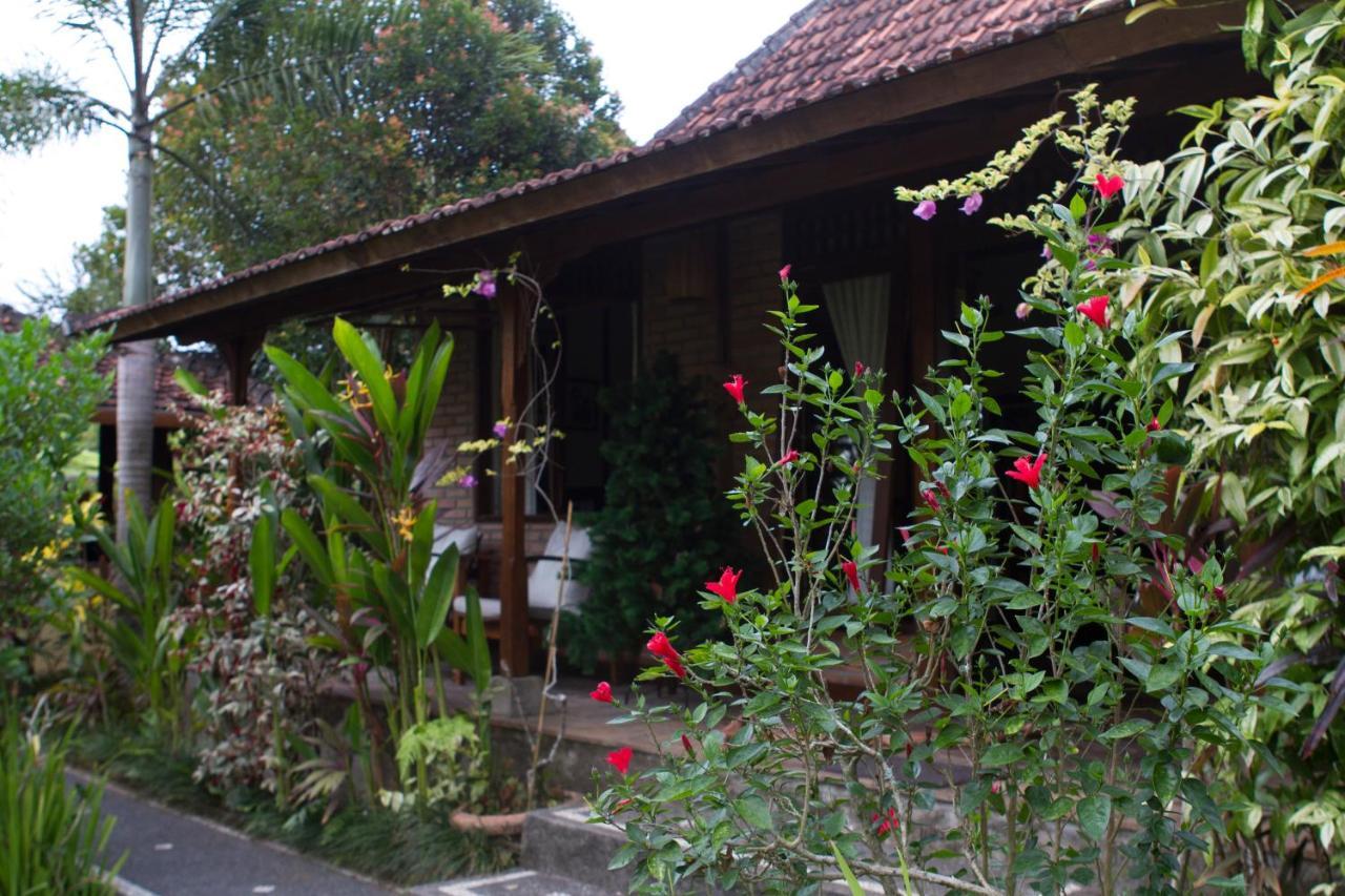 أوبود Rumah Sungai Villa المظهر الخارجي الصورة