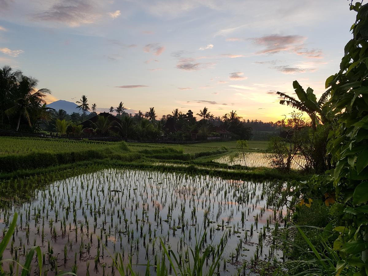 أوبود Rumah Sungai Villa المظهر الخارجي الصورة