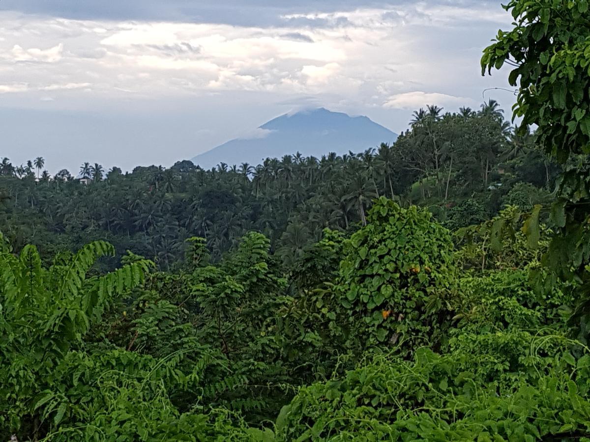 أوبود Rumah Sungai Villa المظهر الخارجي الصورة