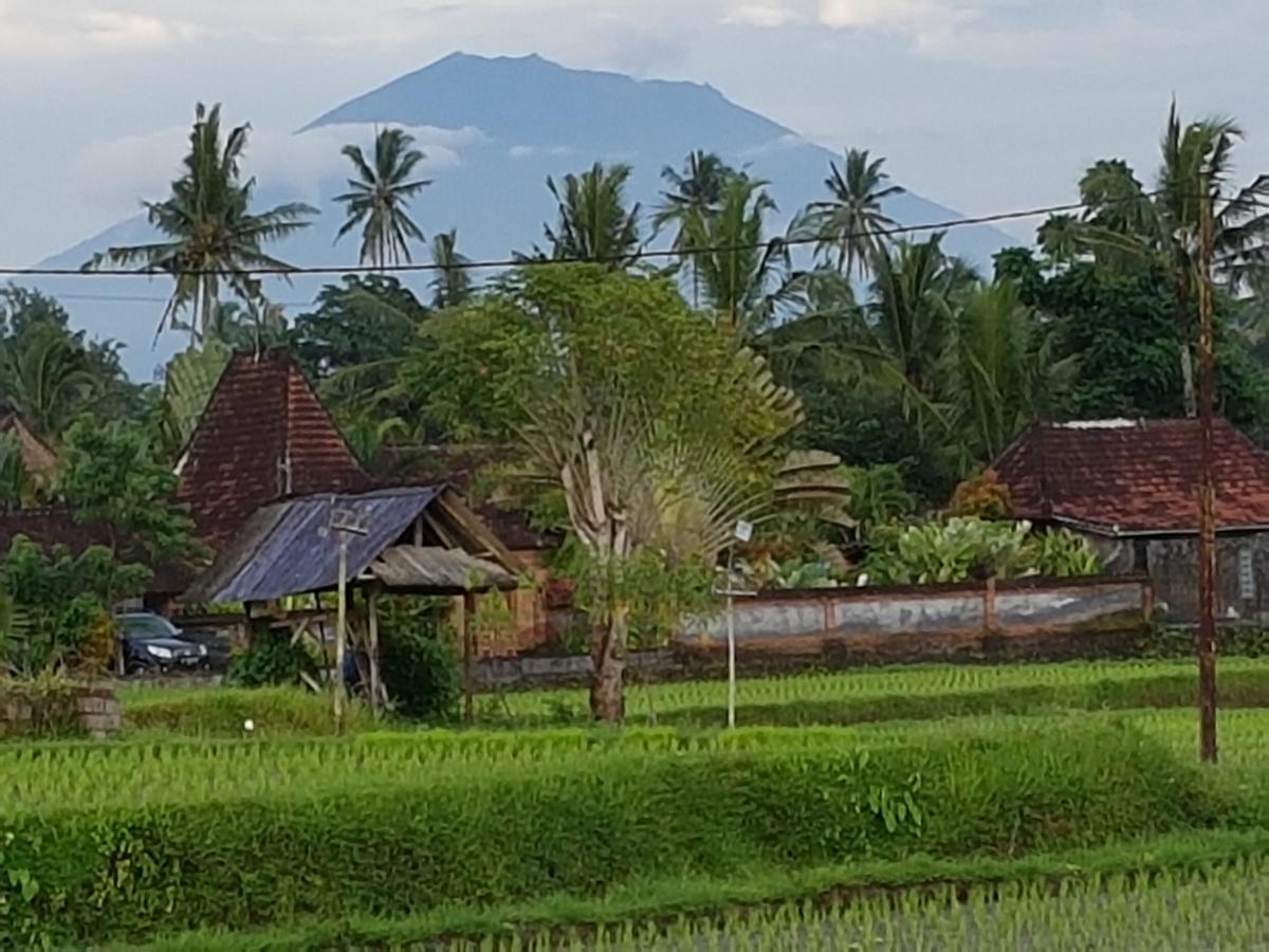 أوبود Rumah Sungai Villa المظهر الخارجي الصورة