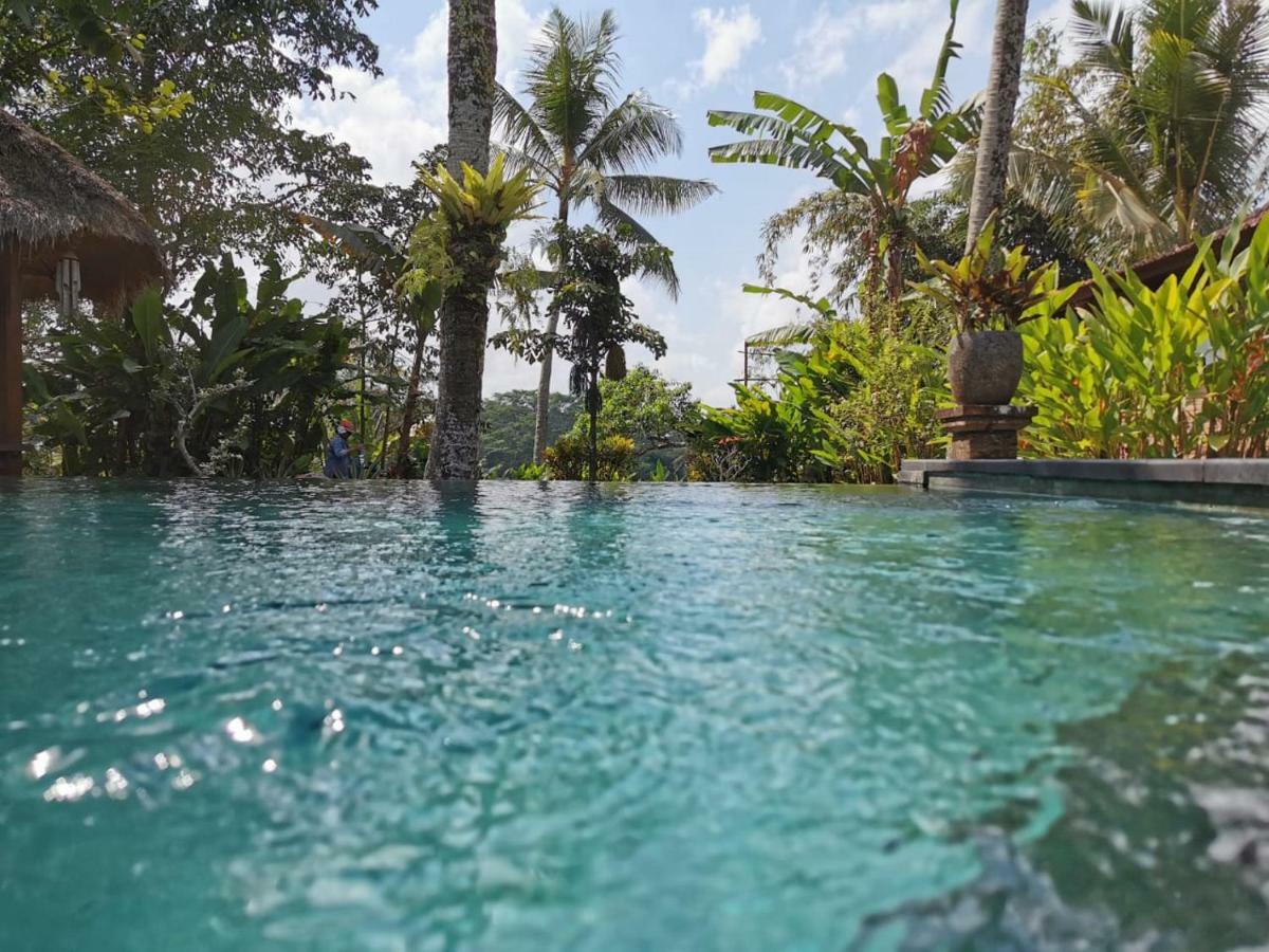 أوبود Rumah Sungai Villa المظهر الخارجي الصورة