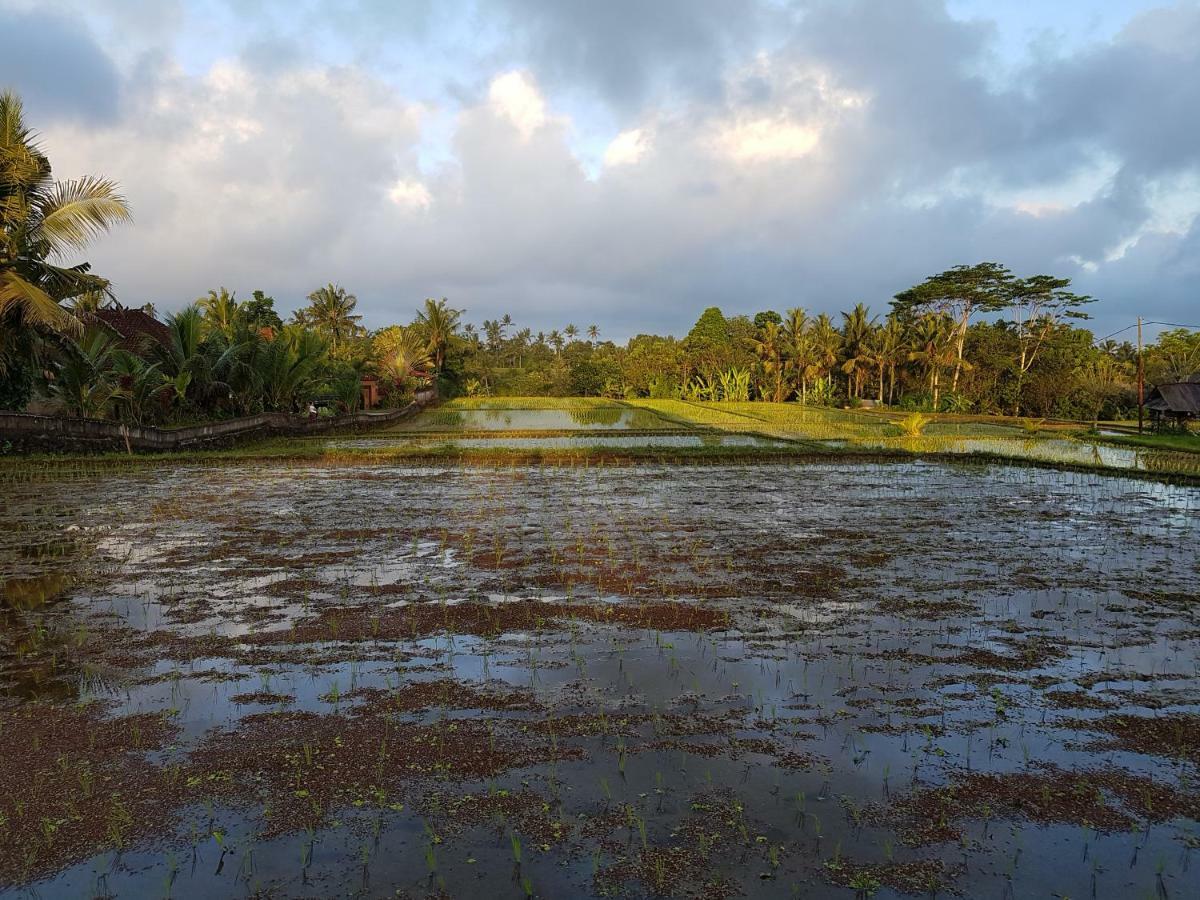أوبود Rumah Sungai Villa المظهر الخارجي الصورة
